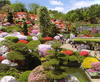 大桑原つつじ園