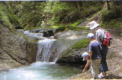 二岐渓谷の遊歩道