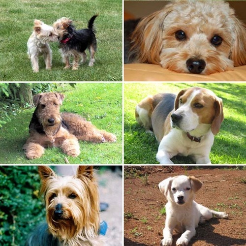 Muneki Pension Image 3, Itoigawa, Japan