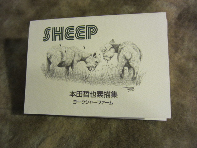 7月エリア特集懸賞