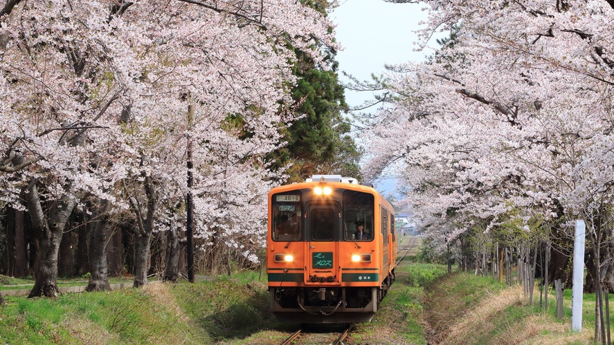 〜桜色に染まる春の爛漫の青森へ〜青森観光の拠点に最適♪素泊まりプラン