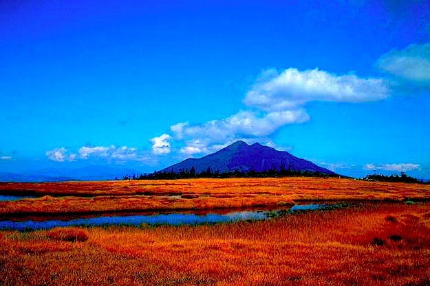 尾瀬アヤメ平草紅葉／アヤメ平／燧ヶ岳