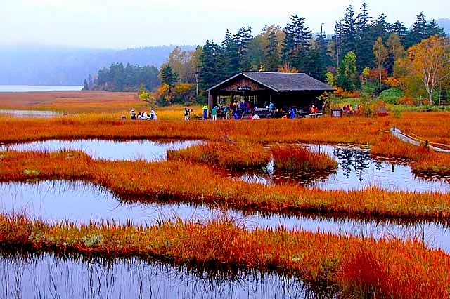 尾瀬ケ原草紅葉／尾瀬沼／湖畔休憩所