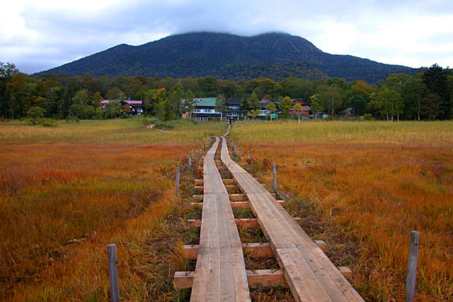 尾瀬ケ原草紅葉／下田代／見晴