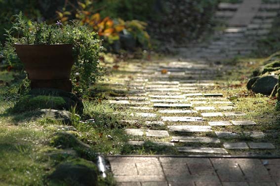 ペンション　あけまの森 写真3
