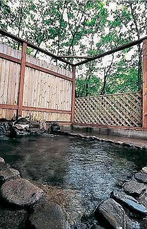 This photo about Onsen Pension Sairin shared on HyHotel.com