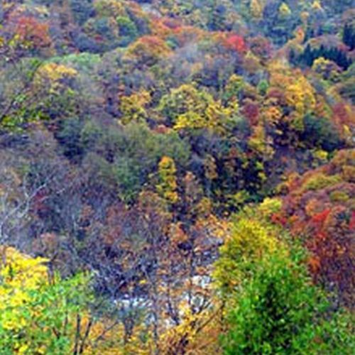 晩秋は紅葉に包まれます。紅葉スポットも多数あります♪