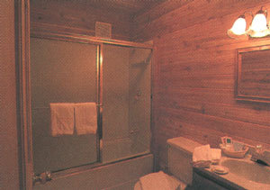 Log Hotel Early Bird Image 2, Itoigawa, Japan