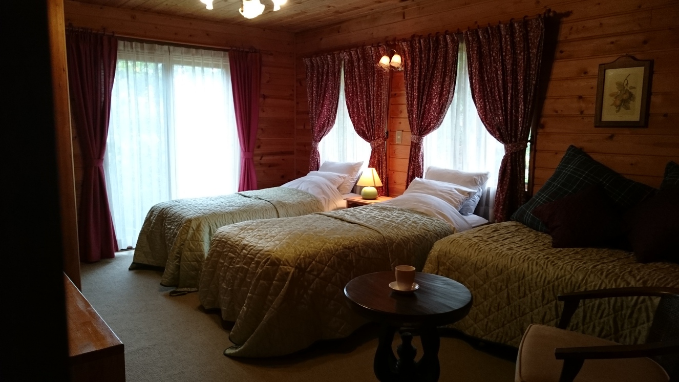 Log Hotel Early Bird Image 3, Itoigawa, Japan