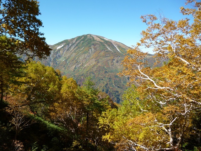 秋の雪倉岳