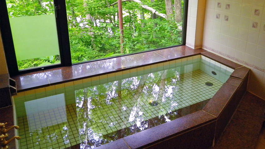 Hotel Astoria (Nagano) Image 5, Nagano, Japan