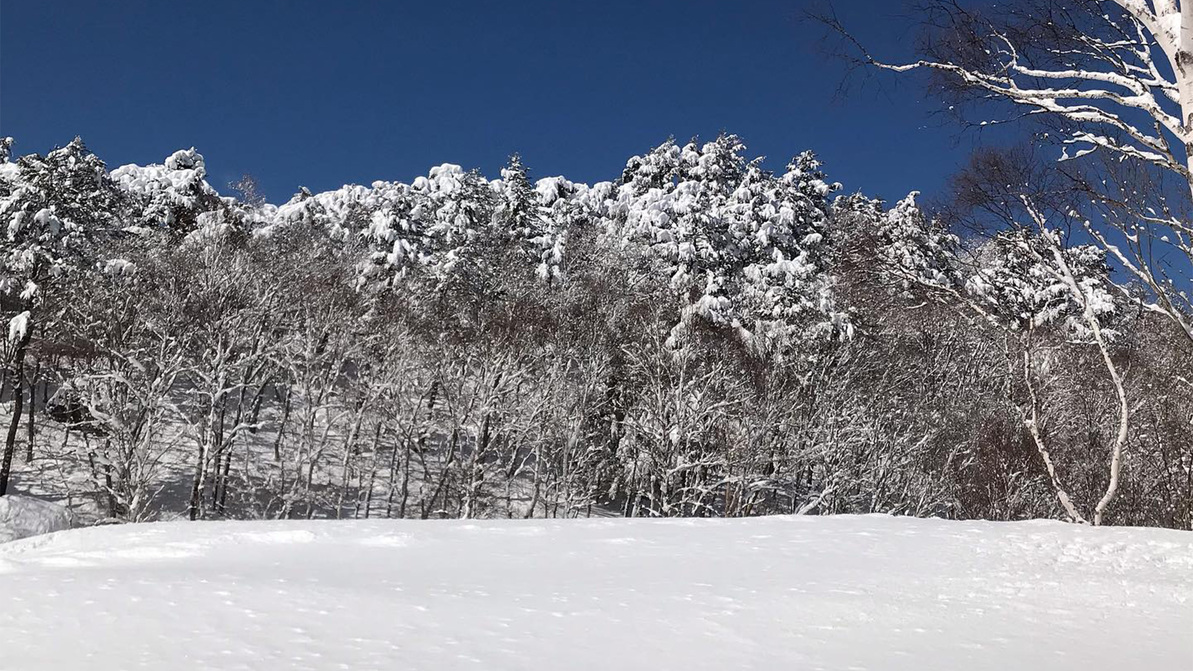 *冬の志賀高原／白銀の世界が広がる冬の晴れた日には、思わずシャッターを押したくなる景色が広がります。