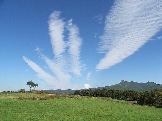 客室窓からの秋の風景