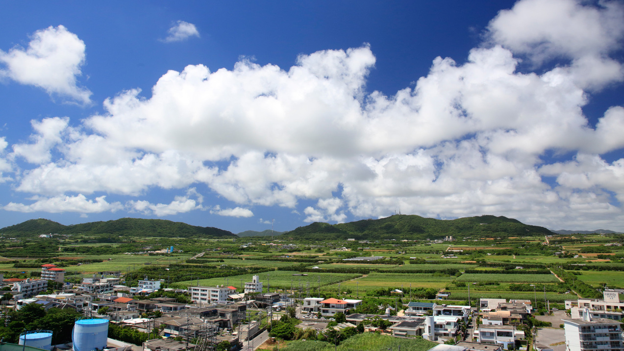 【お部屋からの景色】山側