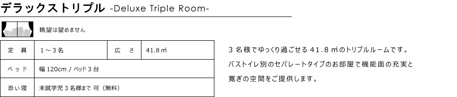 トリプルルーム41.8㎡11階-12階北側