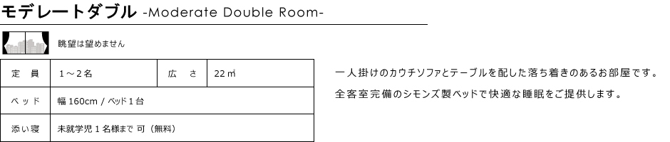 ダブルルーム22㎡11階-12階北側