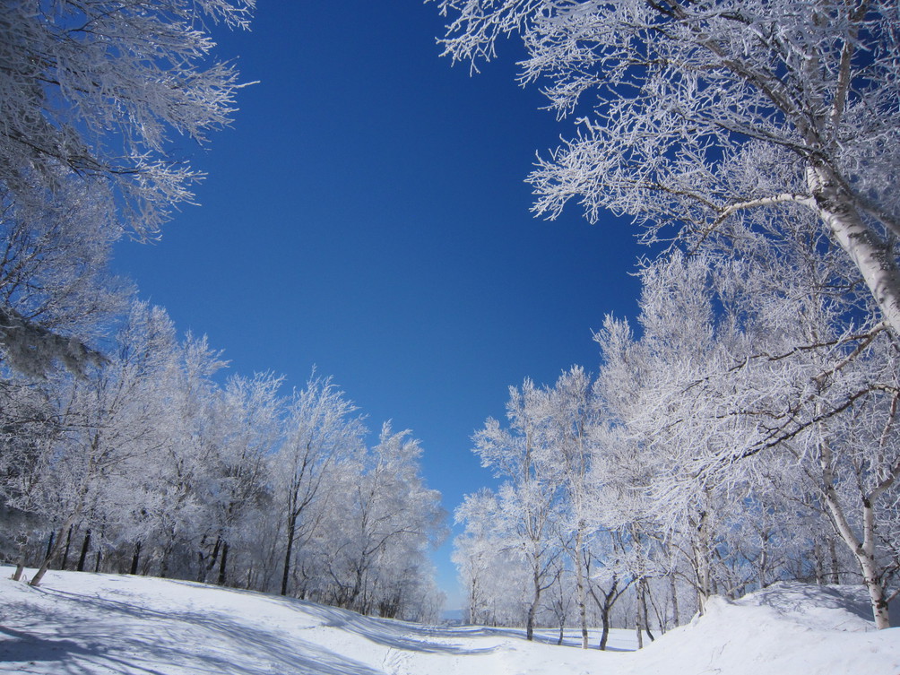樹氷と青空、白と青だけの世界
