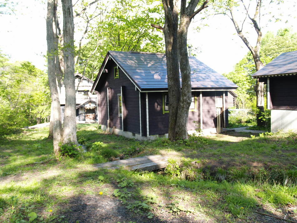 木漏れ日の中のコテージ