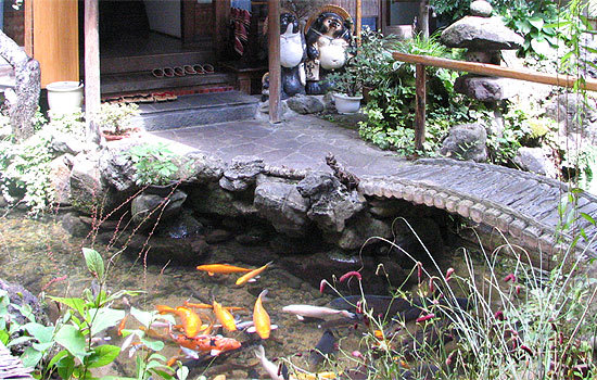 Asanoya Ryori Ryokan Image 3, Seki, Japan