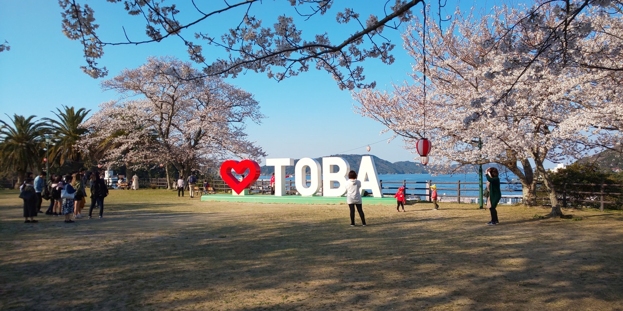 城山公園〜桜〜