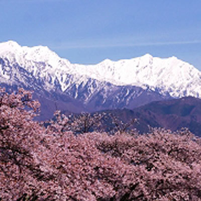 大町公園からの風景