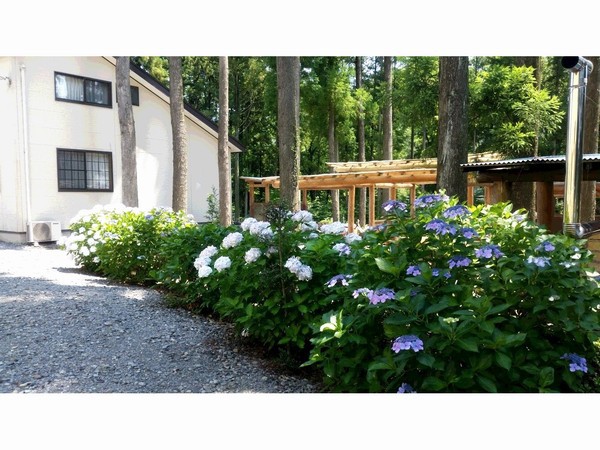 Sudomari no Yado Sanmore Image 3, Nikko, Japan