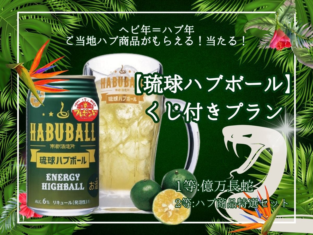 琉球ハブボール＆くじ付きプラン【朝食付】
