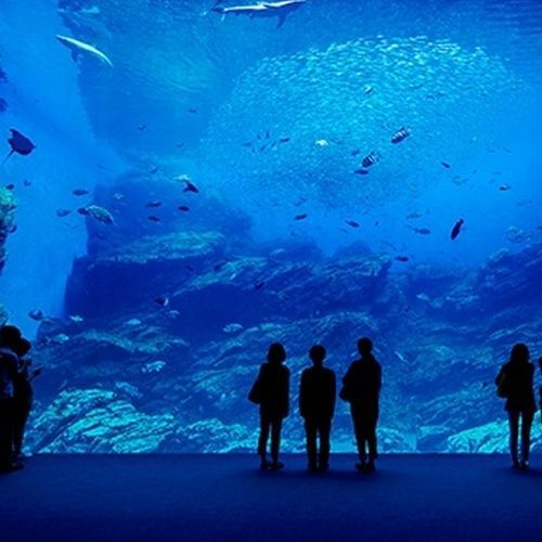 仙台うみの杜水族館