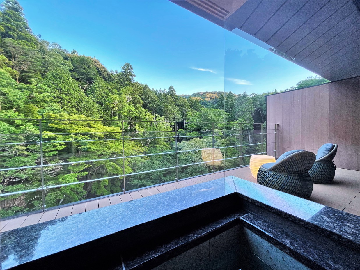 半露天風呂温泉&和ベッド+テラス付き客室（浴室内からの眺めイメージ）
