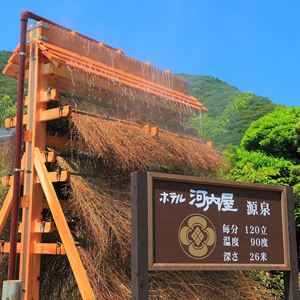 南国伊豆　下賀茂温泉　ホテル河内屋 写真4