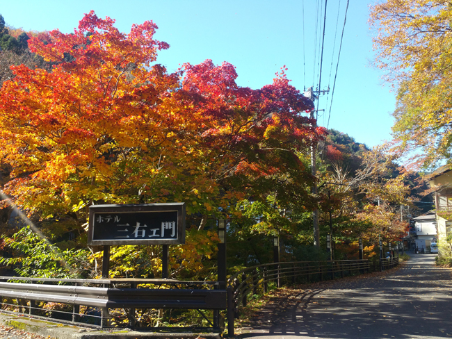 台温泉の紅葉風景