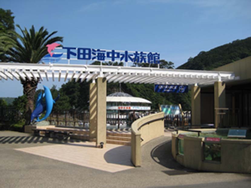 下田海中水族館車で約２０分