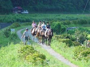 伊豆下田乗馬クラブ０５５８−６２−２９１９