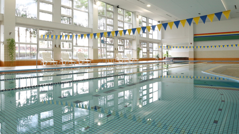 Pines Onsen Hotel Otawara Image 4, Nasushiobara, Japan