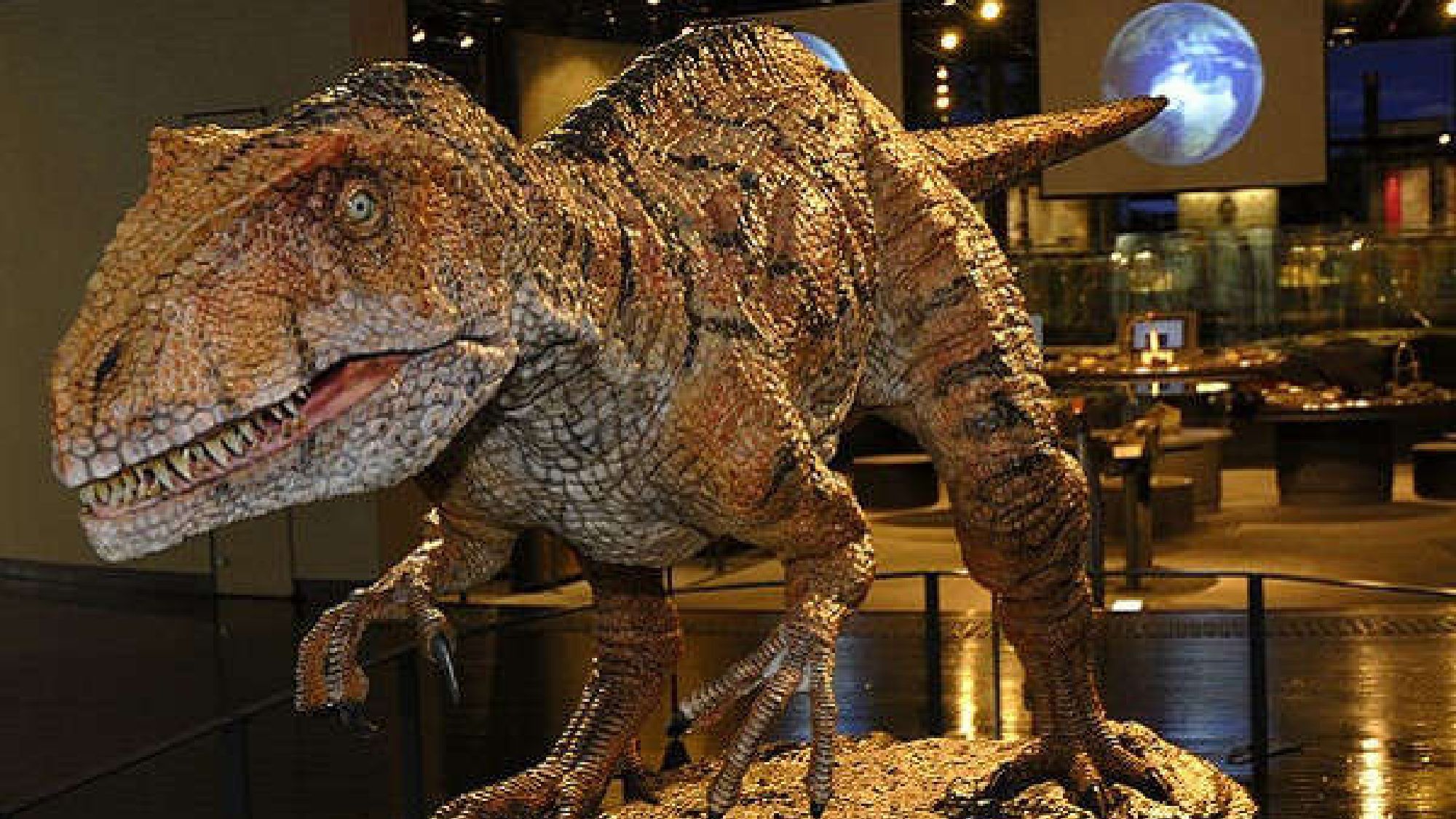 【周辺観光】福井県立恐竜博物館／恐竜を中心とした4500㎡の博物館