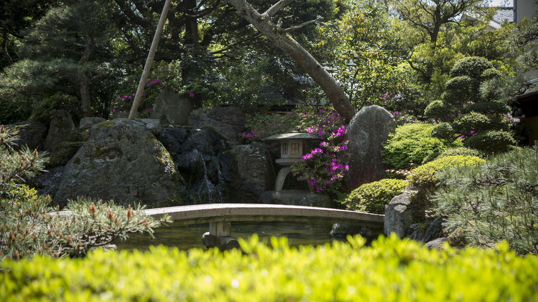【風景】日本庭園／当館自慢の日本庭園。ご自由に散策することも可能です