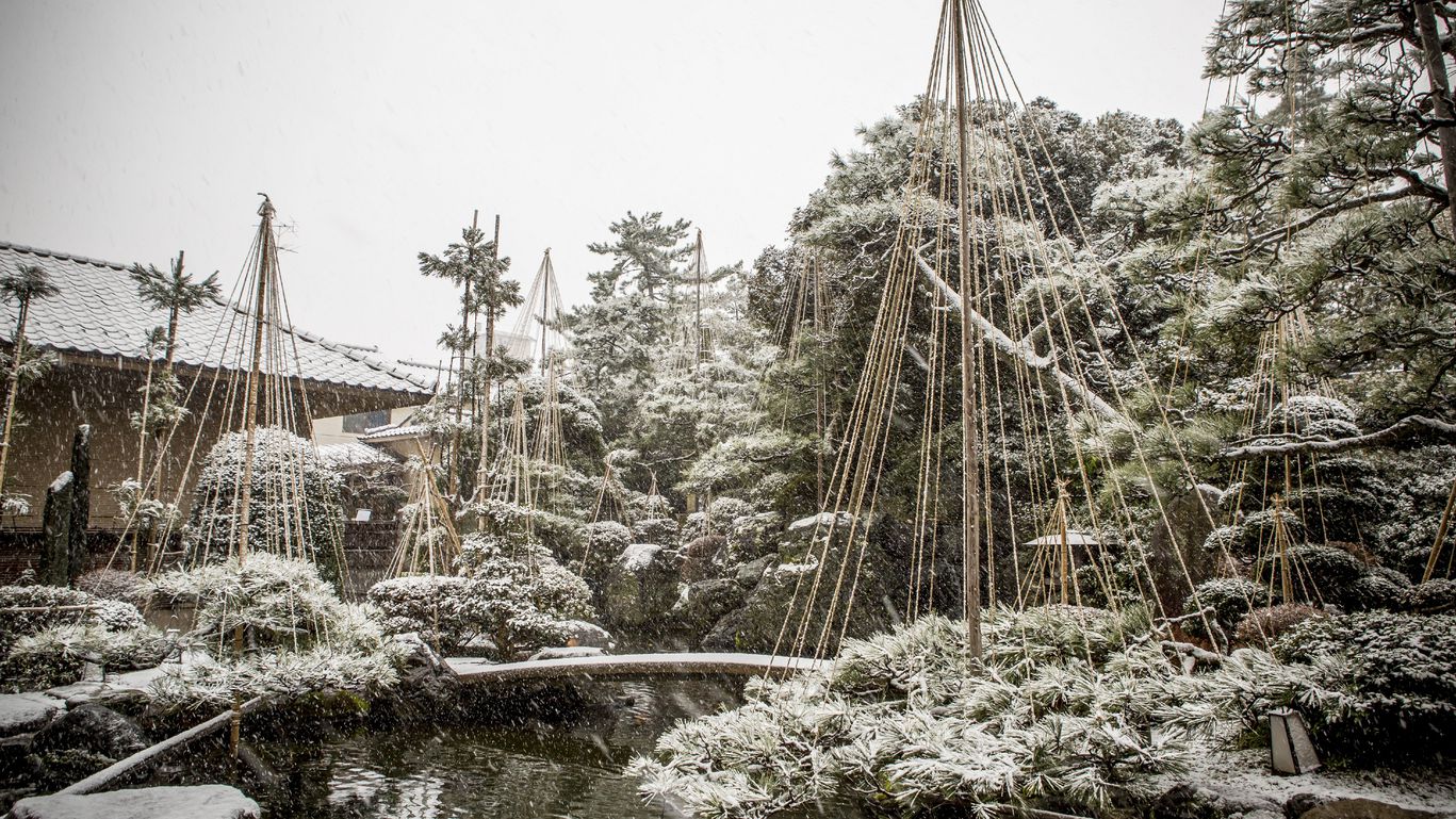 【風景】日本庭園／当館自慢の日本庭園。夜はライトアップされ、幻想的な雰囲気が漂います（冬）