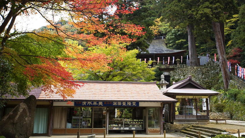 *【紅葉】