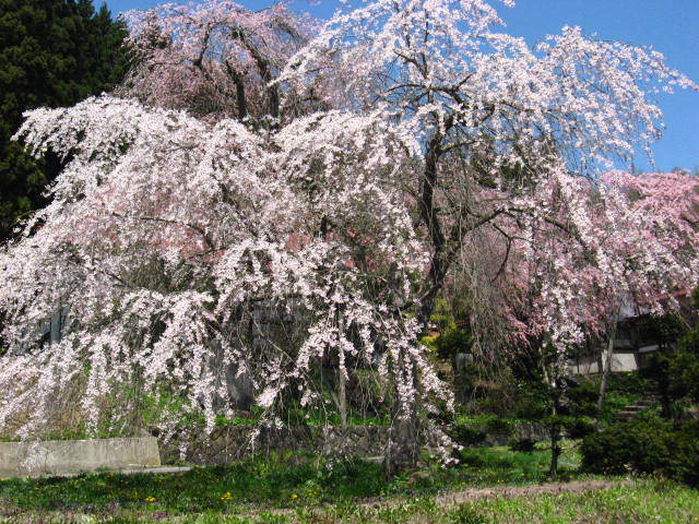 Pension Do Image 5, Itoigawa, Japan