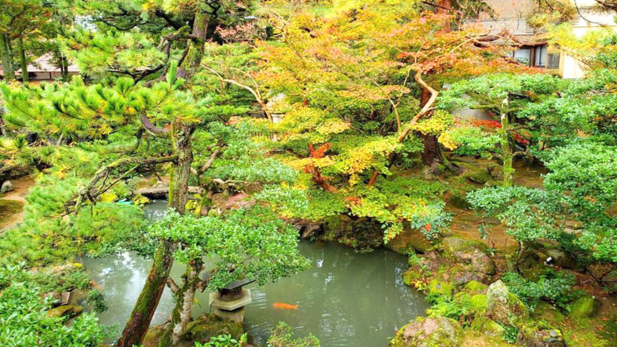 【国の登録文化財／新春の館】庭園を臨む館・12帖〜アウトバス。