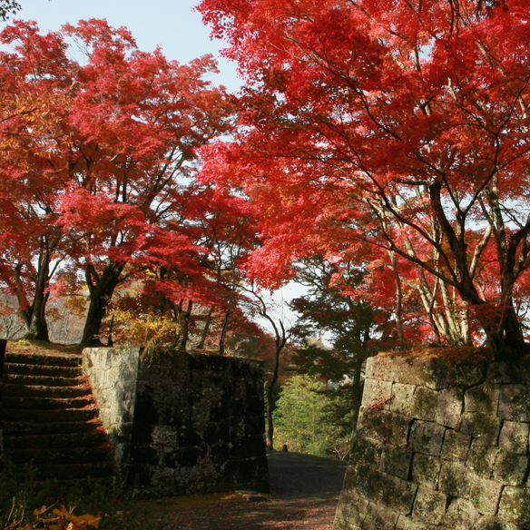 竹田岡城の紅葉