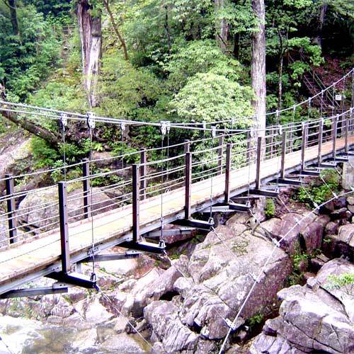 屋久杉ランド（荒川橋）