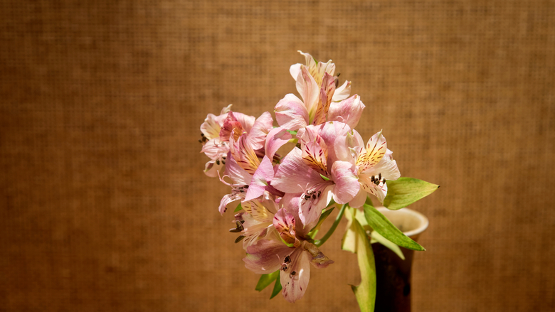 部屋に廊下にといたるところに女将こだわりの生花が飾られております。季節の流れを生花から感じて下さい。