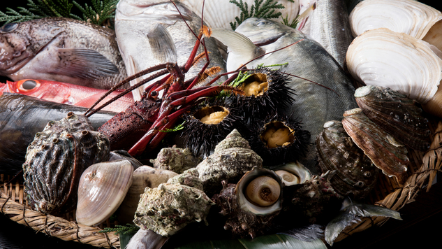 いけすにいる魚介は当日でも追加ご注文可能です。ハマグリやサザエ、ホッキ貝などの貝類がおすすめです。