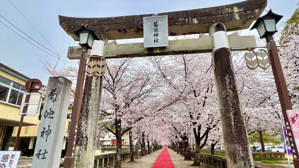 菊池神社ホテルから車で約30分