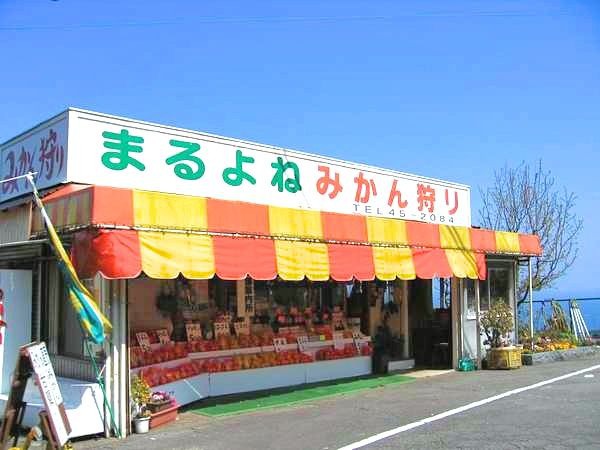 みかんのお土産はここ♪太陽をたくさん浴びたみかんは甘くて美味しい♪