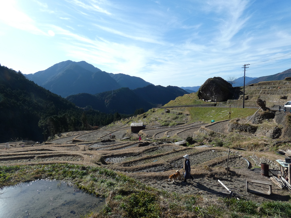 丸山千枚田【冬の風景】車で約30分