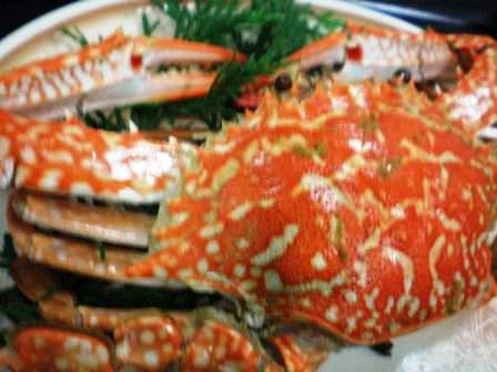 渡り蟹