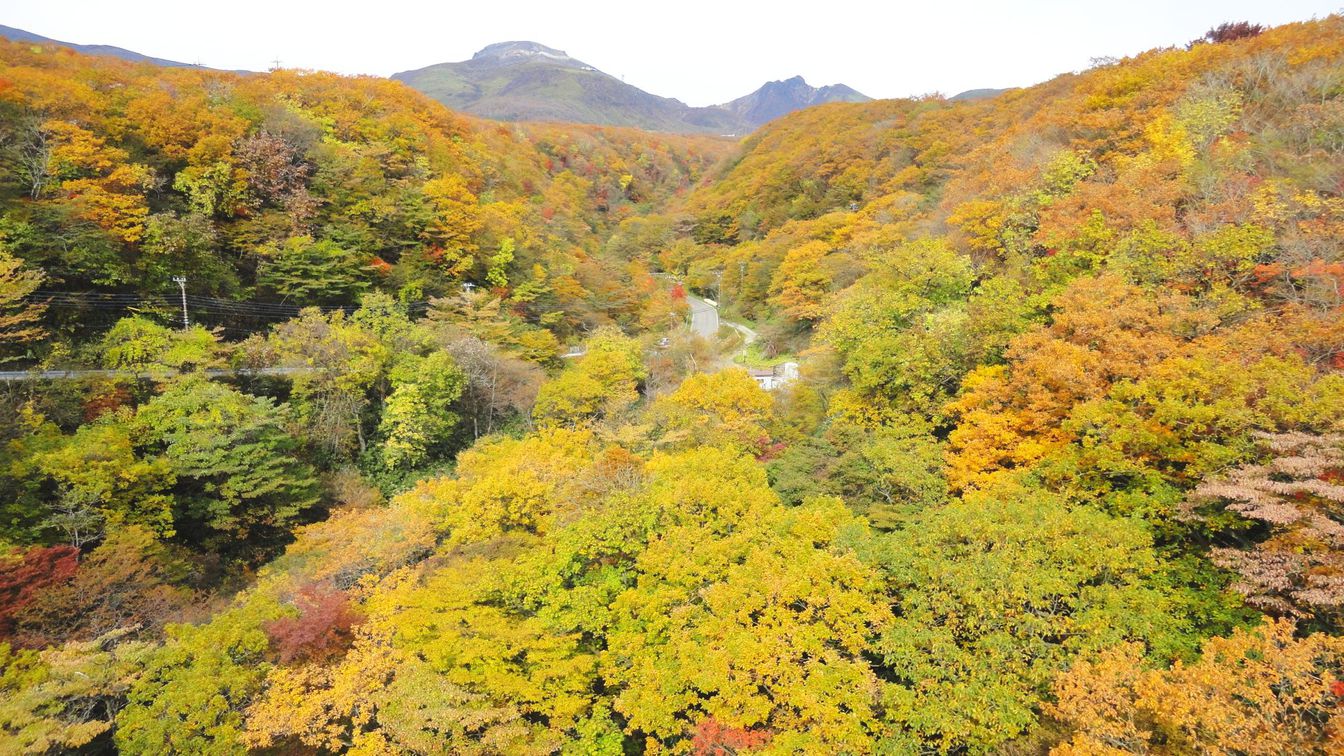 つつじ吊り橋