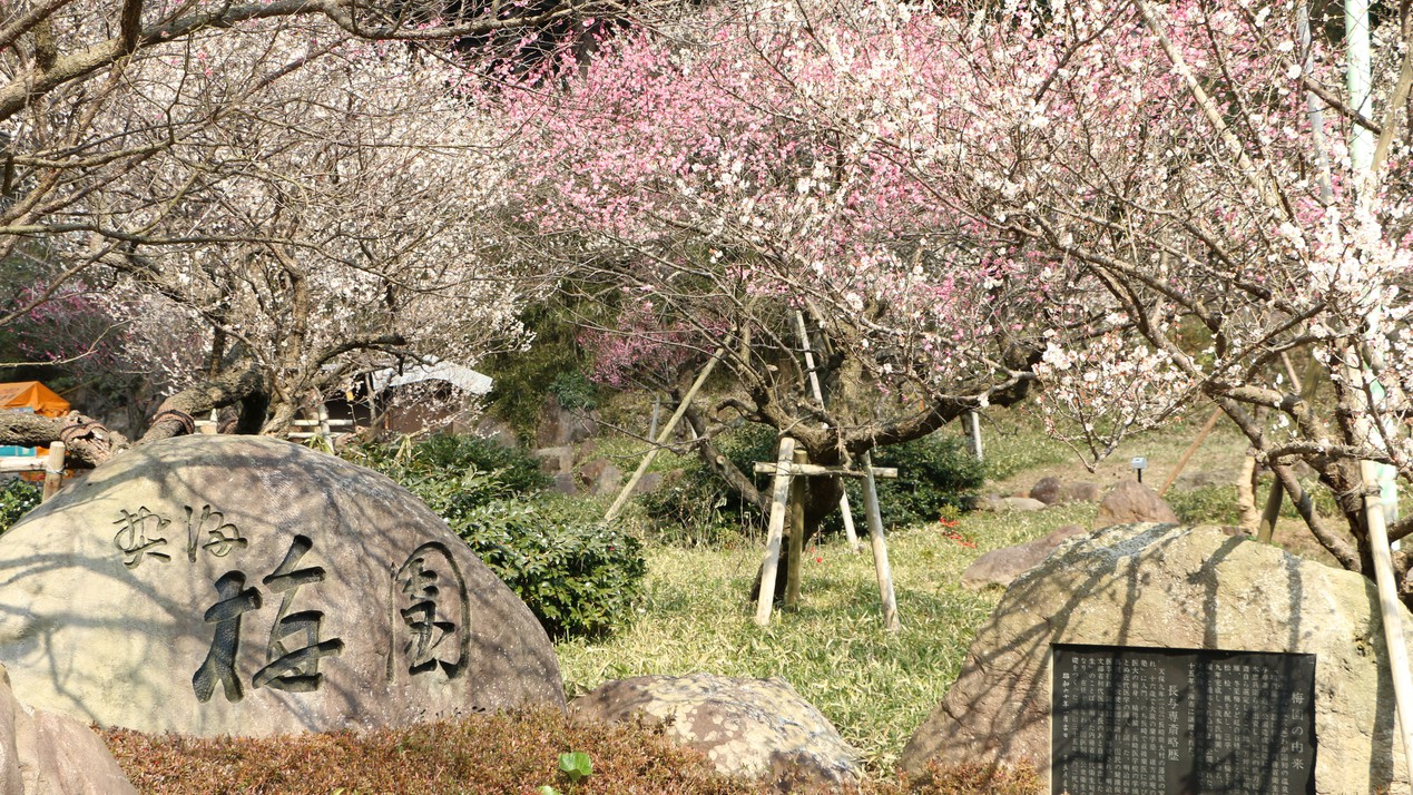 熱海梅園